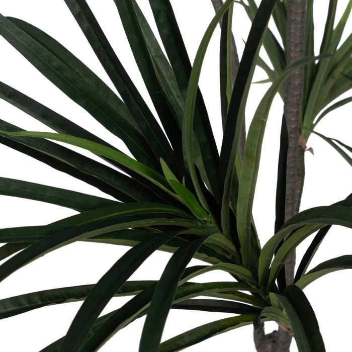 S8806694_3