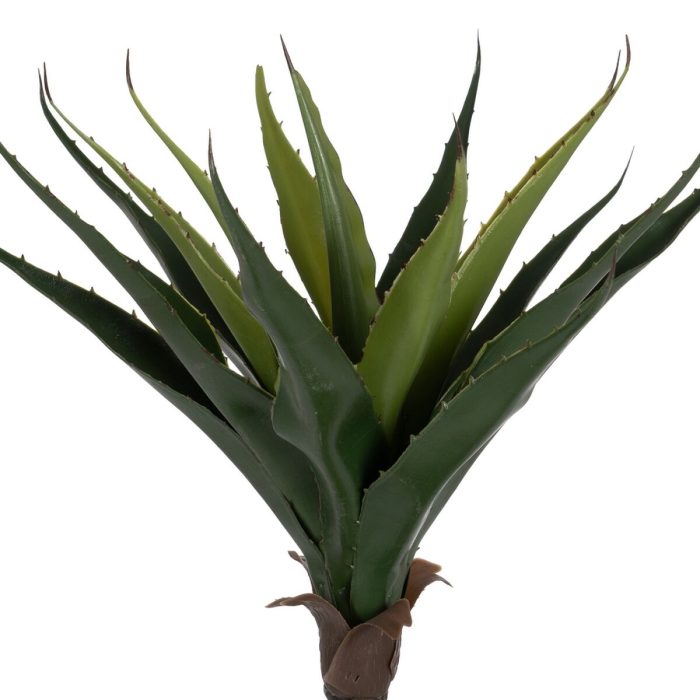 S8806075_1