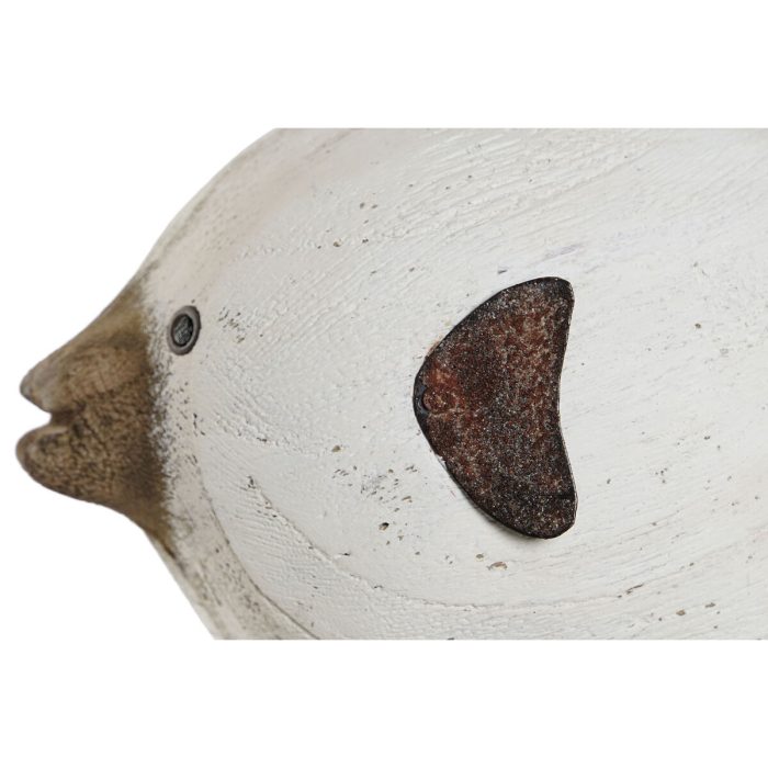 S3055964_5