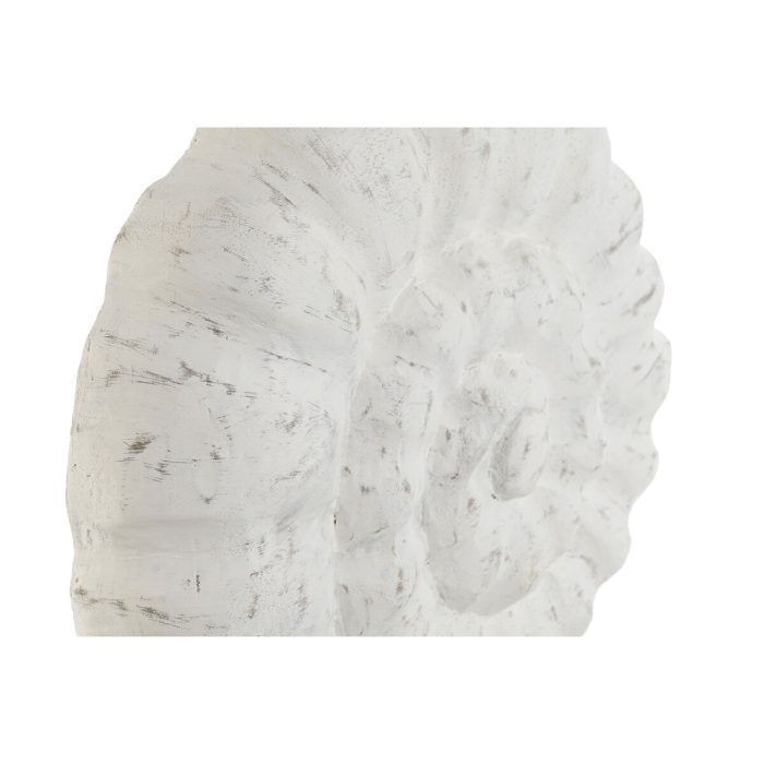 S3055486_1