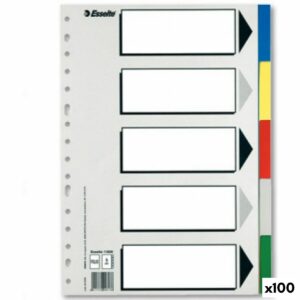 Faneblade Esselte Multifarvet Ark 5 Ark (100 enheder)