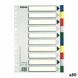 Faneblade Esselte Multifarvet Ark 10 Ark (50 enheder)